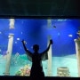 [필리핀_마닐라]9일차 필리핀 ocean park 해양박물관(아쿠아리움), UST, china town(차이나타운)