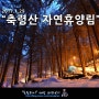 축령산 자연휴양림 솔캠