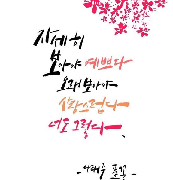 나태주 - 아름다운 풀꽃 시인 : 네이버 블로그