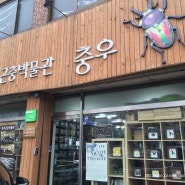 충우곤충박물관 - 서울 아이들과 가볼만한곳