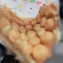 홍콩여행)미슐랭가이드 계란빵_침사추이 마미팬케익(Mammy Pancake)