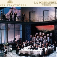 벨리니의 몽유병 여인, La Sonnambula - 비엔나 국립 오페라, 2017년 1월