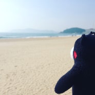 170127_해운대 해수욕장