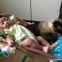 ::육아육묘:: 아기와 고양이
