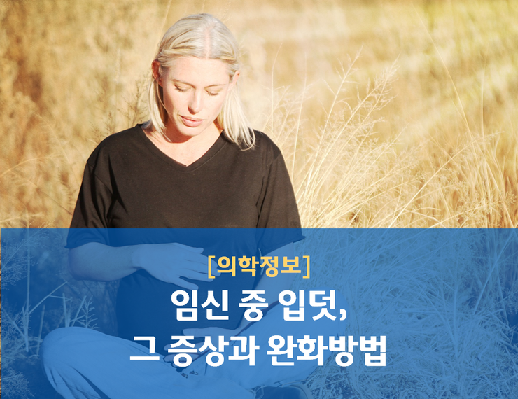 [의학정보] 임신 중 입덧, 그 증상과 완화방법 : 네이버 블로그