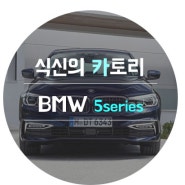 [식신의 카토리]BMW 5시리즈 풀체인지 가격 및 옵션은?