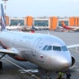 <한국-러시아-독일> 아에로플로트 항공 (유럽여행/모스크바/공항/기내식)