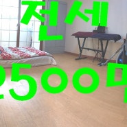 대전우송대원룸/전세2500만 서캠정문에서 5분거리