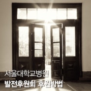 서울대학교병원 발전후원회 후원방법