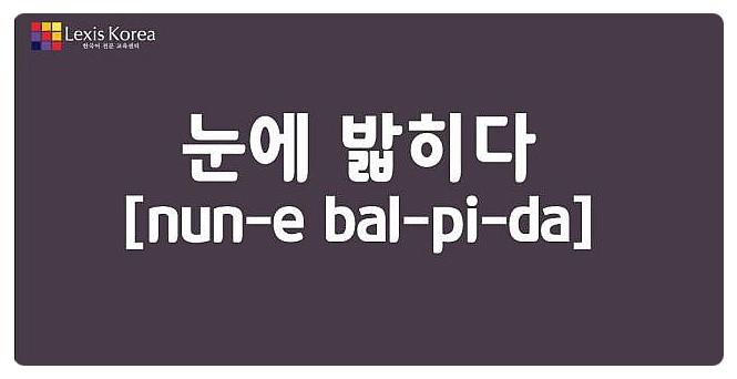 외국인 한국어교육 '눈에 밟히다’ 무슨뜻 일까요? : 네이버 블로그