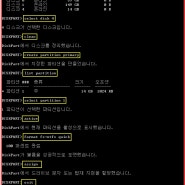 diskpart 명령어