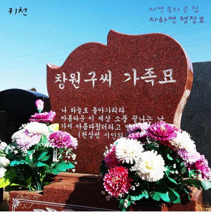 햇살아래 눈부신 가족묘, 자하연 일산공원 {매장묘, 평장묘, 봉안묘} : 네이버 블로그