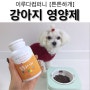 [강아지영양제] 이루다컴퍼니_튼튼하개