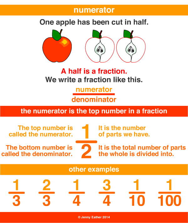 numerator; denominator; fraction : 네이버 블로그