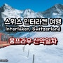 [스위스 인터라켄 여행] 융프라우 산악열차를 타고 바라보는 스위스 마을의 설경
