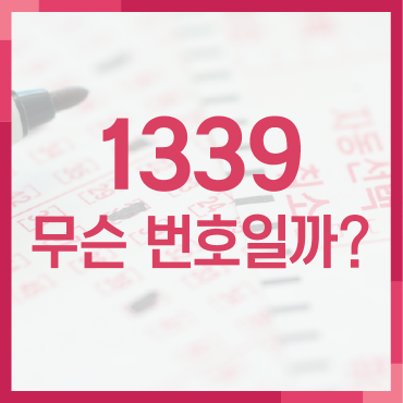 1339 무슨 번호일까? : 네이버 블로그
