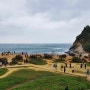 <대만여행>신비의 예류(야류)해양지질공원