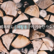 [네이처앤드피플] 폐목재 재활용 어디까지 해봤니?