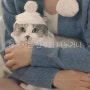아비노 최강희 광고 - 오뜨리꼬가 소품 제작했답니다 :)