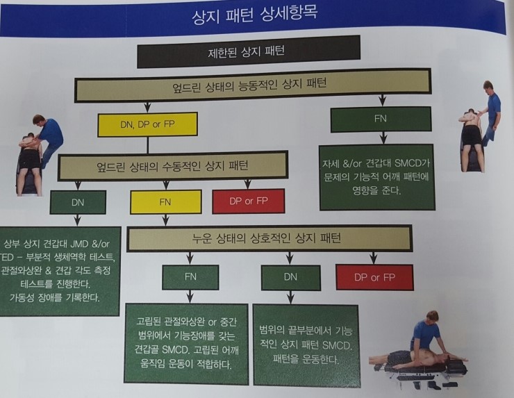 SFMA 평가 상세항목(상지) : 네이버 블로그
