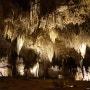 태초의 아름다움을 본 듯한 칼스배드 케이븐 국립공원의 킹스팰리스투어,Kings Palace tour in Carlsbad Caverns national park