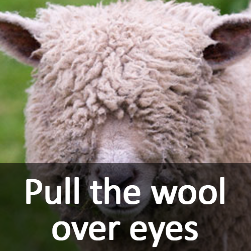 Pull the wool over eyes 속이다, 기만하다 [영어회화독학] 네이버 블로그