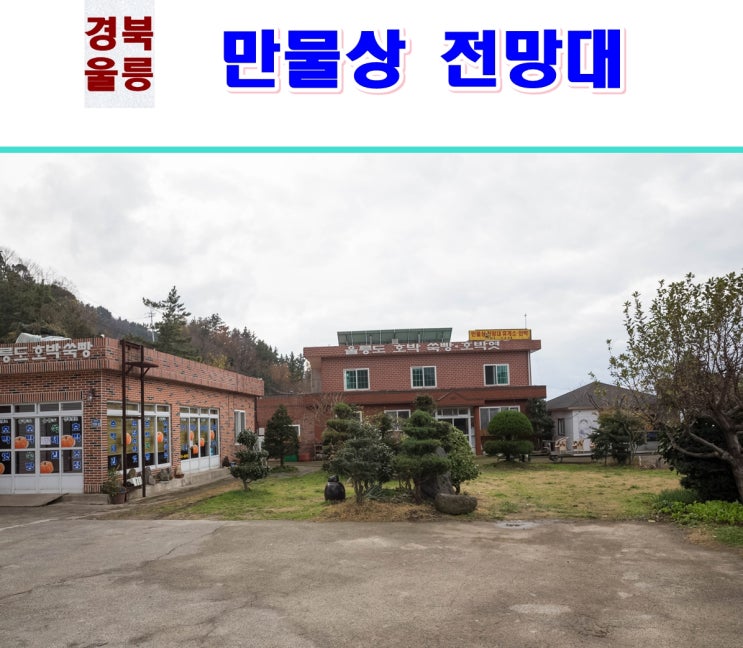 울릉도 여행 - 만물상 전망대 : 네이버 블로그