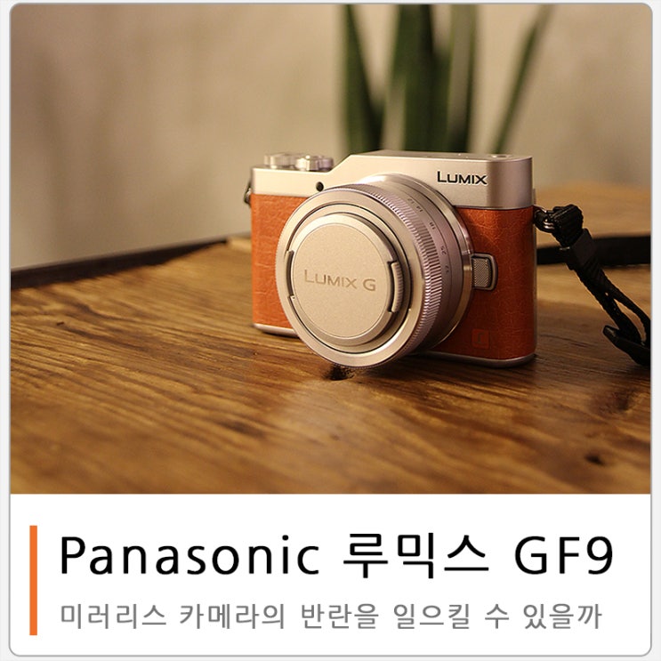 반란을 꿈꾸는 미러리스 카메라 :: 루믹스 GF9 오렌지 : 네이버 블로그