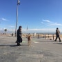 바르셀로나의 개&나&해변과 하늘 그리고 성가족성당 구엘공원 한인민박 그리고 다시 미치도록 좋은 바다! 왤케길어!!!