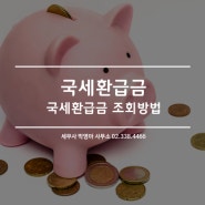 국세환급금 조회방법