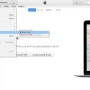 아이튠즈 아이폰 리모트 기능 활용하기