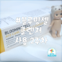 여드름 폼클렌징 : 설레임 블루밍셀 : 2주차 사용 후기♥