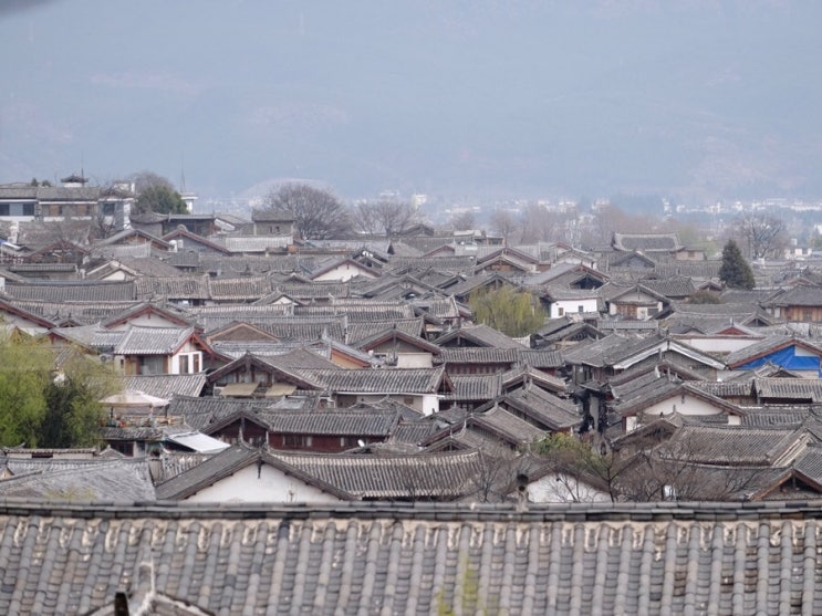 리장 고성과 사람들 Lijiang people : 네이버 블로그