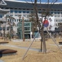 경북 도청에서 열리는 전통혼례