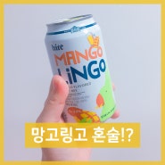 망고링고맛 혼술하기 좋네~