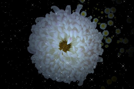 주색잡기 : 네이버 블로그