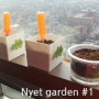 [캣잎·채소 키우기] Nyet garden #1