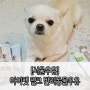 [아이펫밀크] 강아지우유 서울우유 반려동물전용우유