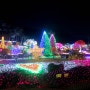 벽초지수목원 빛축제 - 사랑이 내리는 빛의 정원