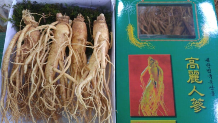 금산수삼 4뿌리인삼 해외선물포장배송 fresh ginseng : 네이버 블로그