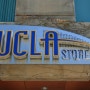 미국 UCLA 대학을 여행하다~!!