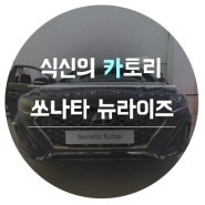 [식신의 카토리] 쏘나타 뉴라이즈 행사 후기! (가격,실내사진 첨부)