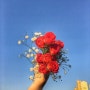 [PLay] 고속터미널 꽃시장