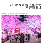 2017년 벚꽃여행 개화시기 축제 4월 국내 가볼만한곳 추천