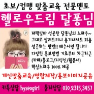 헬로우드림 알아볼때 초보필독~!!