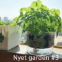 [캣잎·채소 키우기] Nyet garden #3