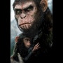 혹성탈출 그림과 과정영상/ Planet of the Apes