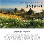 [치앙마이] 천혜의 자연! 치앙마이 특급 패키지 + 마사지 2시간 포함