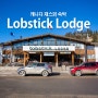 [캐나다 재스퍼 숙박] 깨끗하고 저렴한 Lobstick Lodge (랍스틱 랏지)