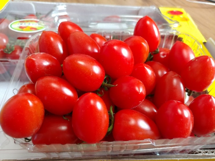 새콤달콤 대추방울토마토 첫 수확한 달토농장 : 네이버 블로그